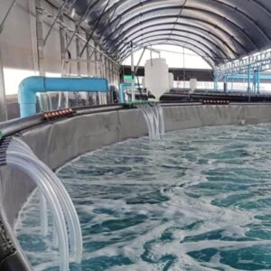 BKC 80% được dùng nhiều trong chăn nuôi thủy sản