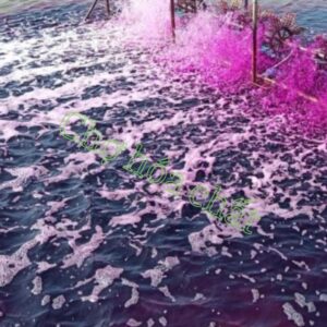 Iodine Ấn Độ sát khuẩn ao hồ - Chợ Hóa Chất