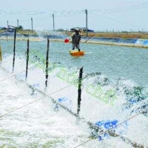 Soluble Vitamix trong thủy sản