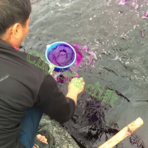 Công dụng của thuốc tím Ấn Độ