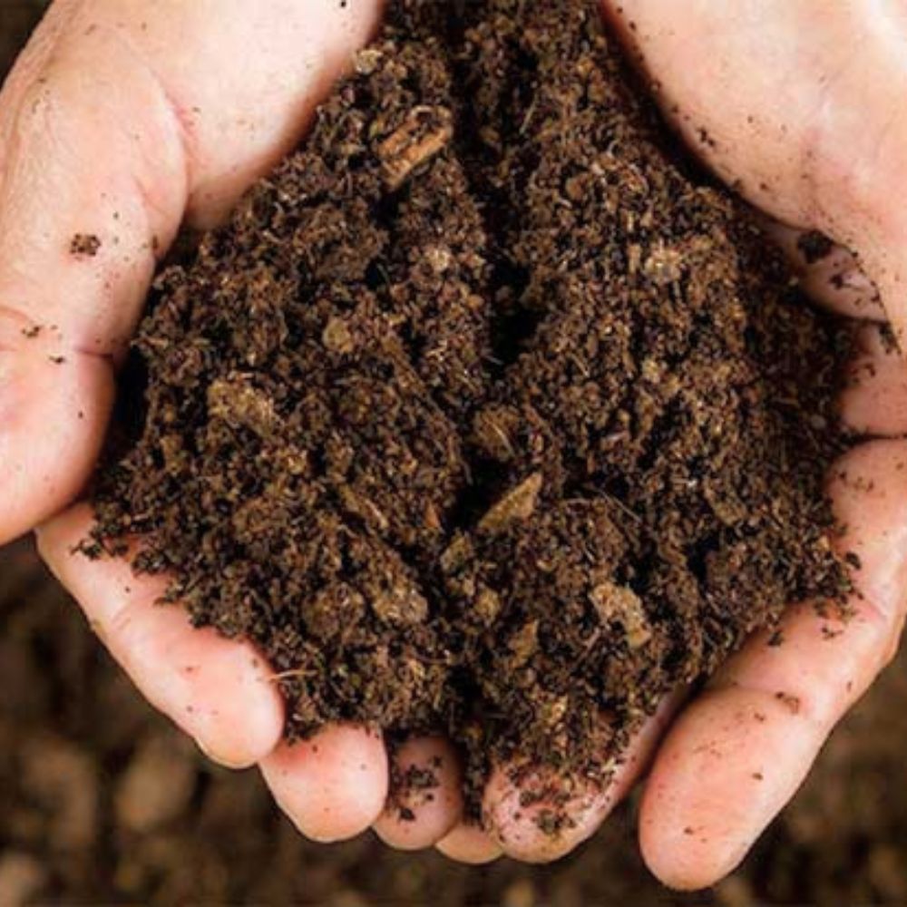 Yucca lỏng giúp nước trữ nước tốt