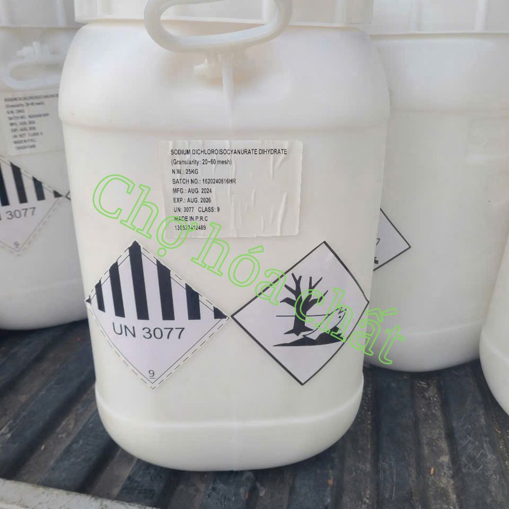 SDIC ứng dụng trong xử lý nước hồ bơi