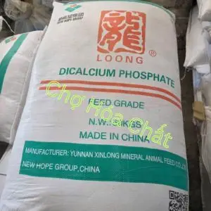 Bổ sung DCP tăng trọng cho bò - Chợ Hóa Chất